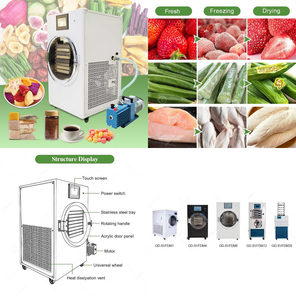 تجميد صغير Liofilizador تجفيف  - مراجعة Dried Fruit وسعره