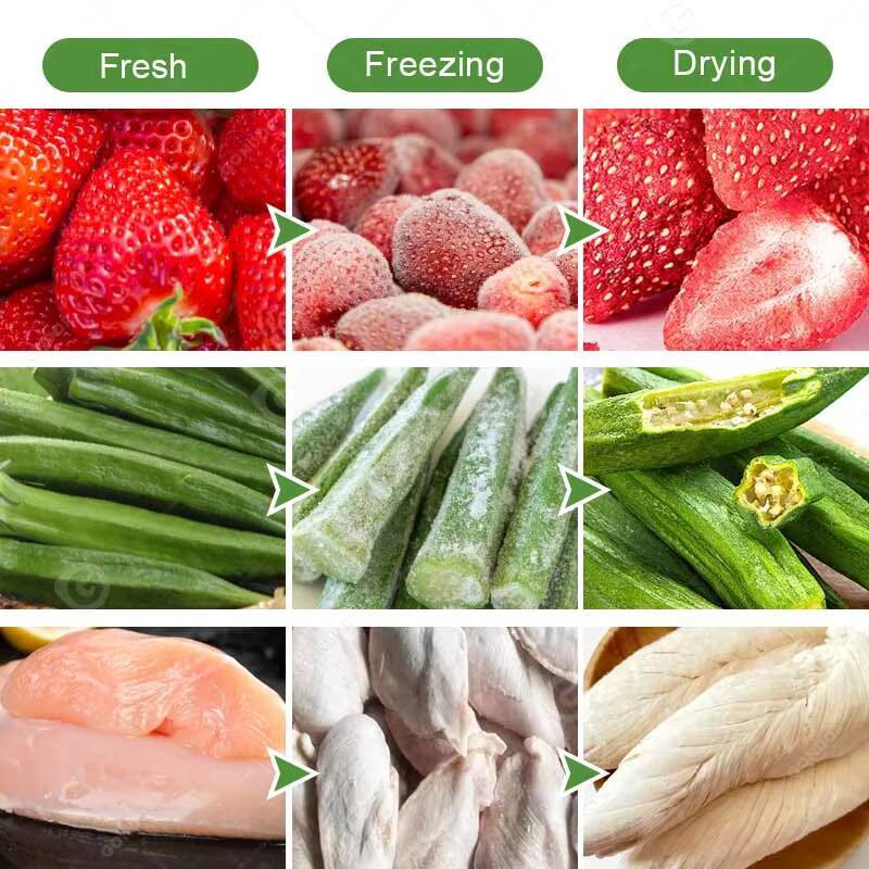 تجميد صغير Liofilizador تجفيف  - مراجعة Dried Fruit وسعره