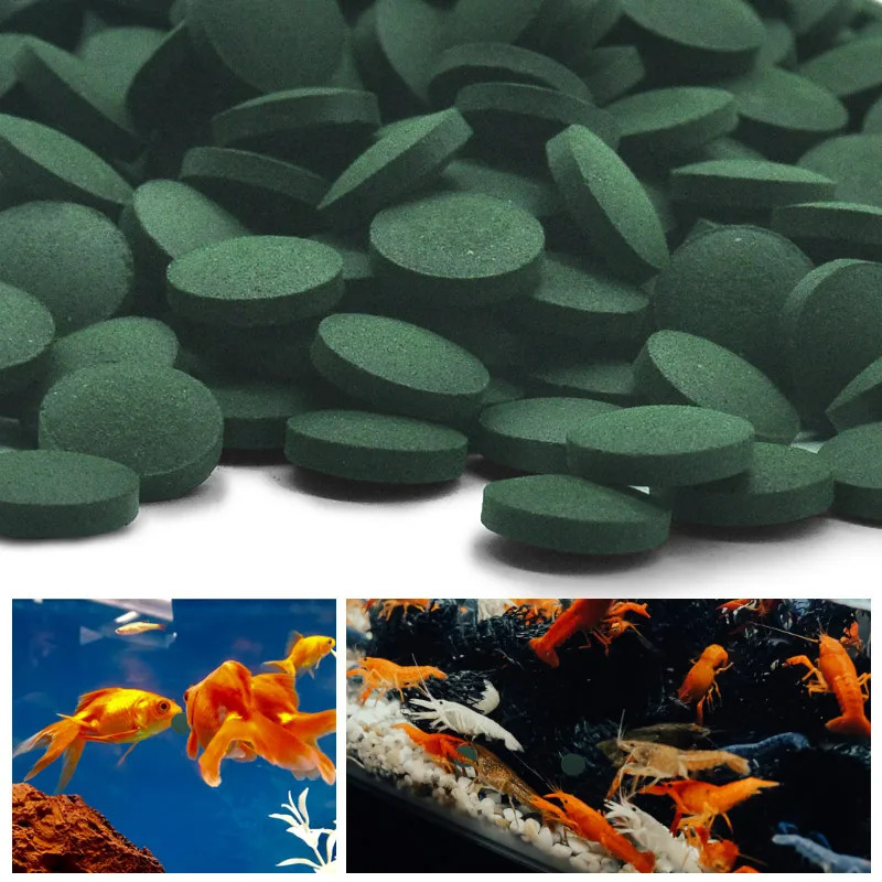 50-300 قطعة أقراص سبيرولينا عا - مراجعة Seaweed Snack وسعره